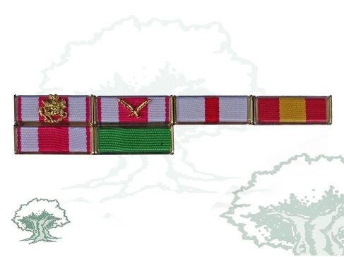 Pasador 6 huecos Rodmen escalable