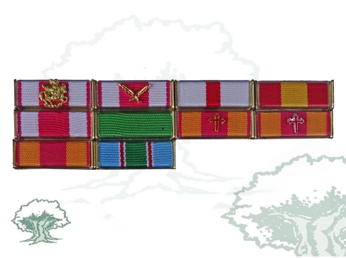 Pasador 10 huecos Rodmen escalable