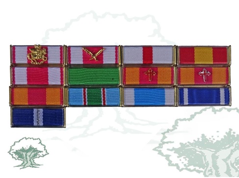 Pasador 13 huecos Rodmen escalable