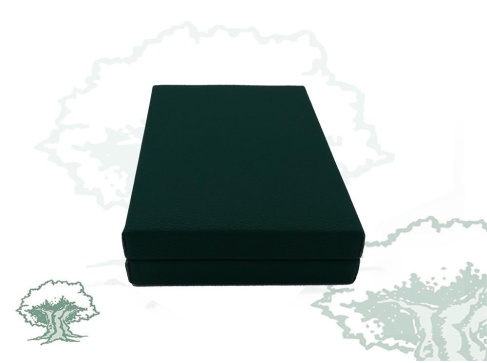 Estuche terciopelo verde