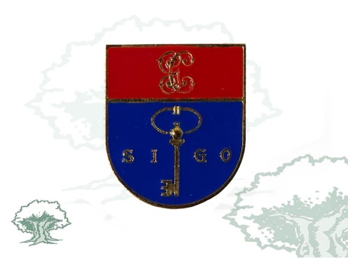 Distintivo de título Curso Administrador SIGO