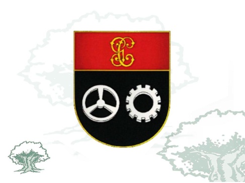 Distintivo de título Curso Automovilismo Nivel C Guardia Civil