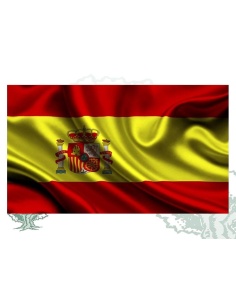 Bandera España raso interior