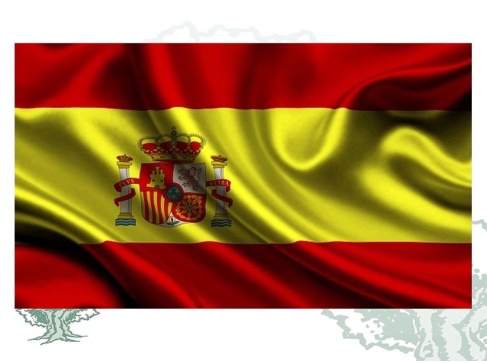 Bandera de España de interior raso Bandera de España de interior raso
