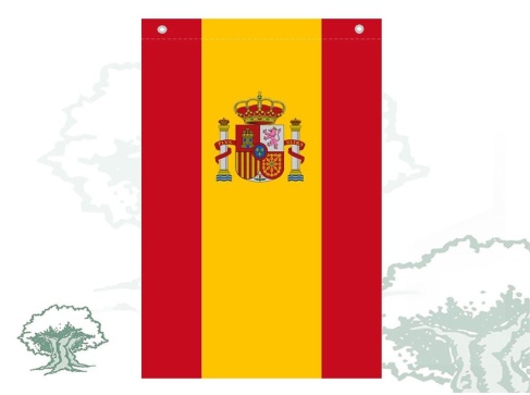 Bandera España vertical
