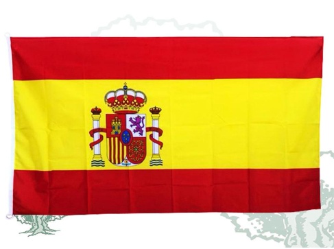 Bandera de España de exterior con anillas