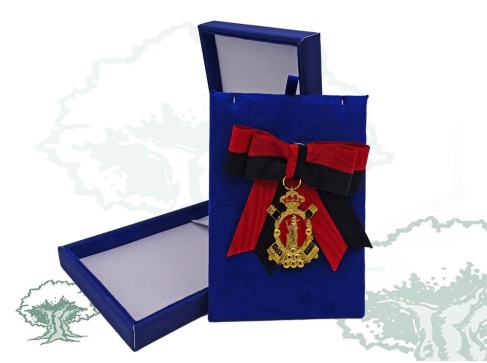 Lazo Quinto Centenario de Santa Bárbara de lujo