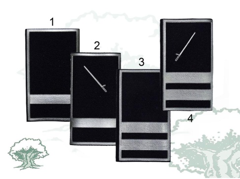 Hombreras Policía Local