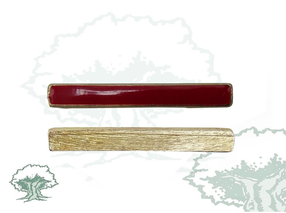 Barra distintivo de permanencia Regulares Ejército