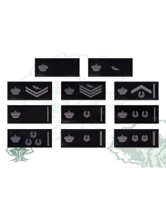 Tira de pecho rangos Policía Nacional