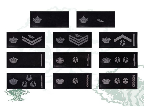 Tira de pecho Policía Nacional rangos