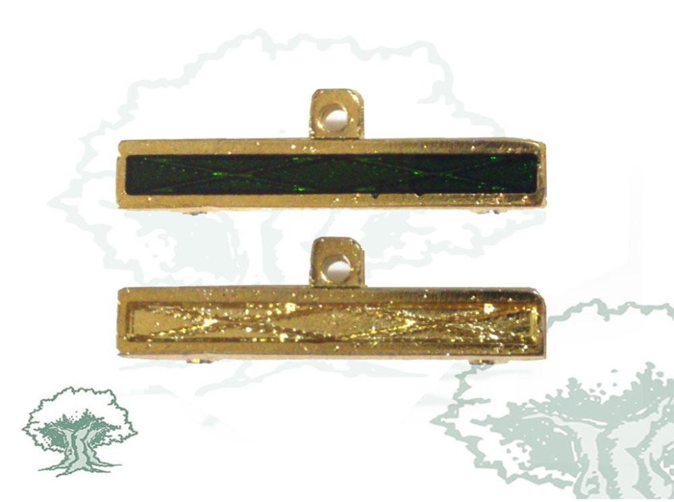 Barra distintivo de permanencia Montaña Ejército