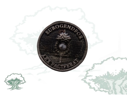 Pin Eurogendfor