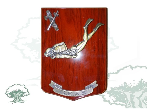 Metopa GEAS buzo de la Guardia Civil