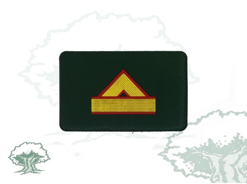 Galleta Guardia Civil de Tráfico nuevo modelo