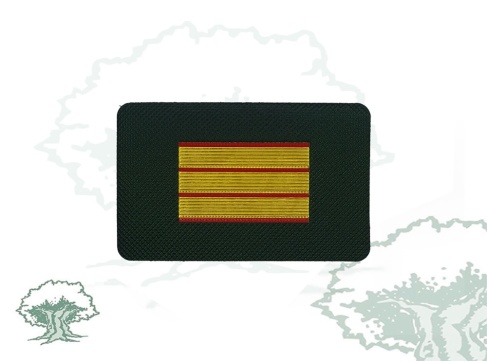 Galleta Guardia Civil de Tráfico nuevo modelo