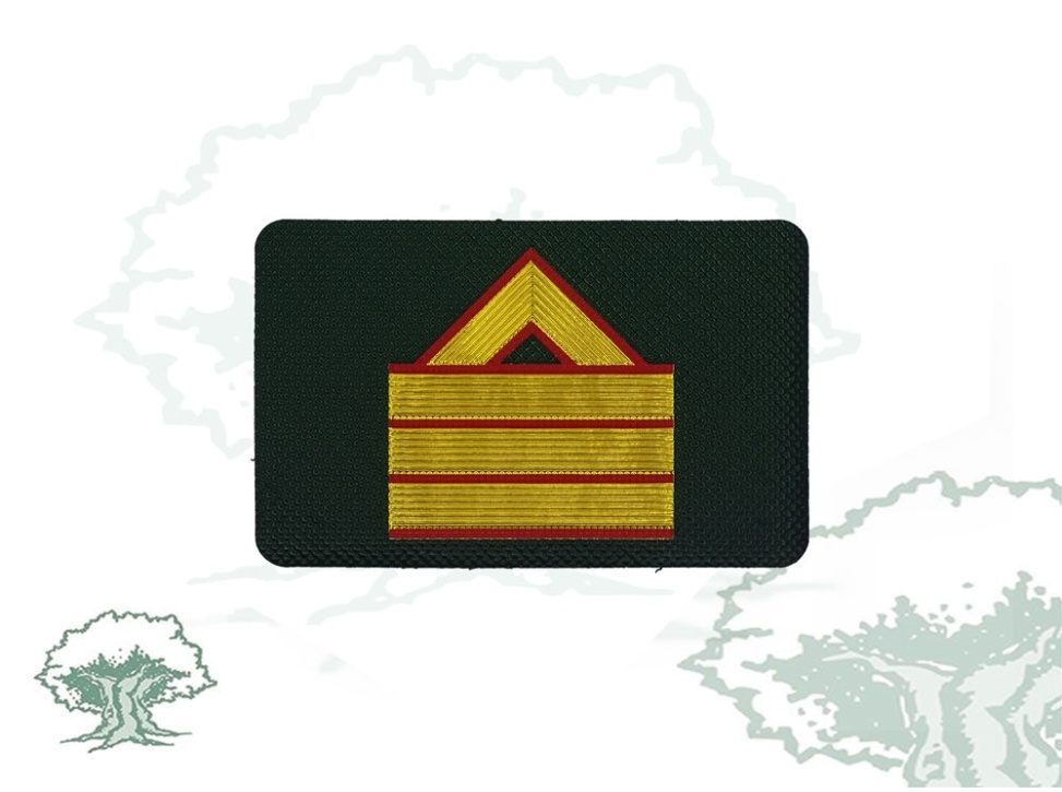 Galleta Guardia Civil de Tráfico nuevo modelo