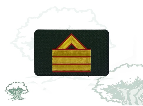 Galleta Guardia Civil de Tráfico nuevo modelo