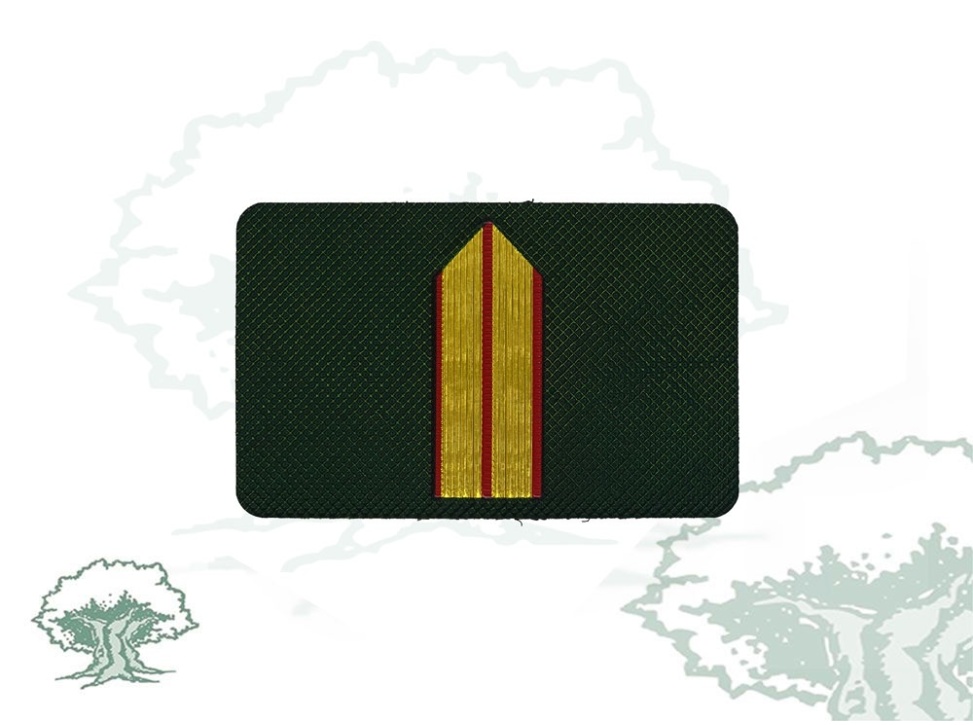 Galleta Guardia Civil de Tráfico nuevo modelo