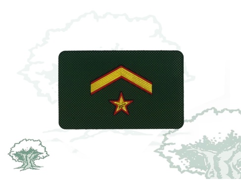 Galleta Guardia Civil de Tráfico nuevo modelo