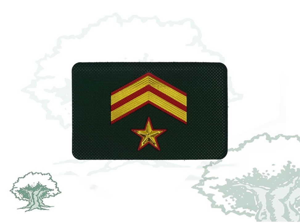 Galleta Guardia Civil de Tráfico nuevo modelo