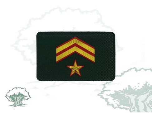 Galleta Guardia Civil de Tráfico nuevo modelo