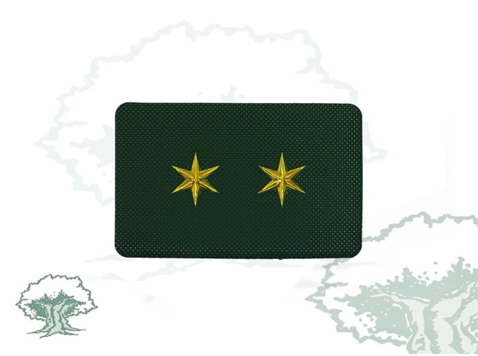 Galleta Guardia Civil de Tráfico nuevo modelo