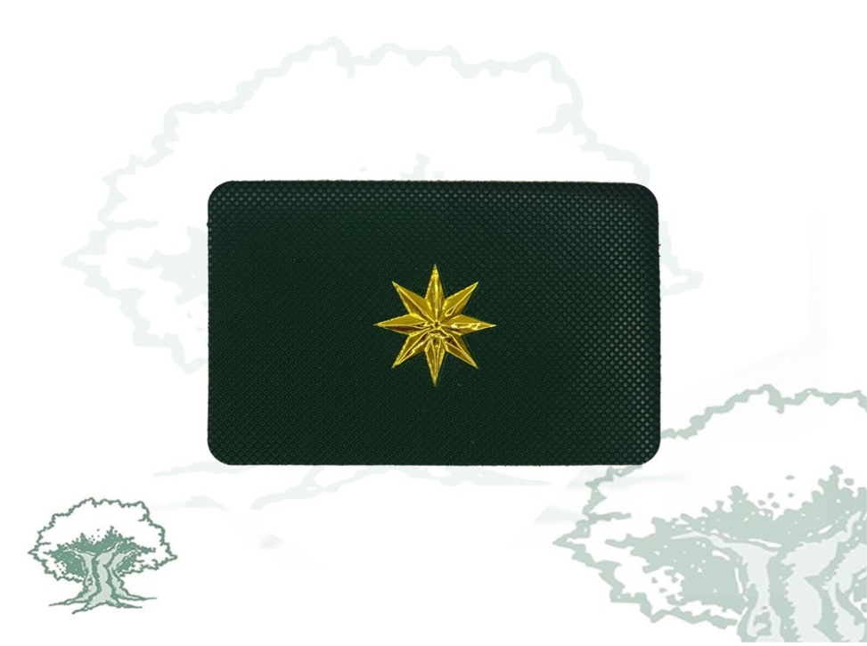 Galleta Guardia Civil de Tráfico nuevo modelo