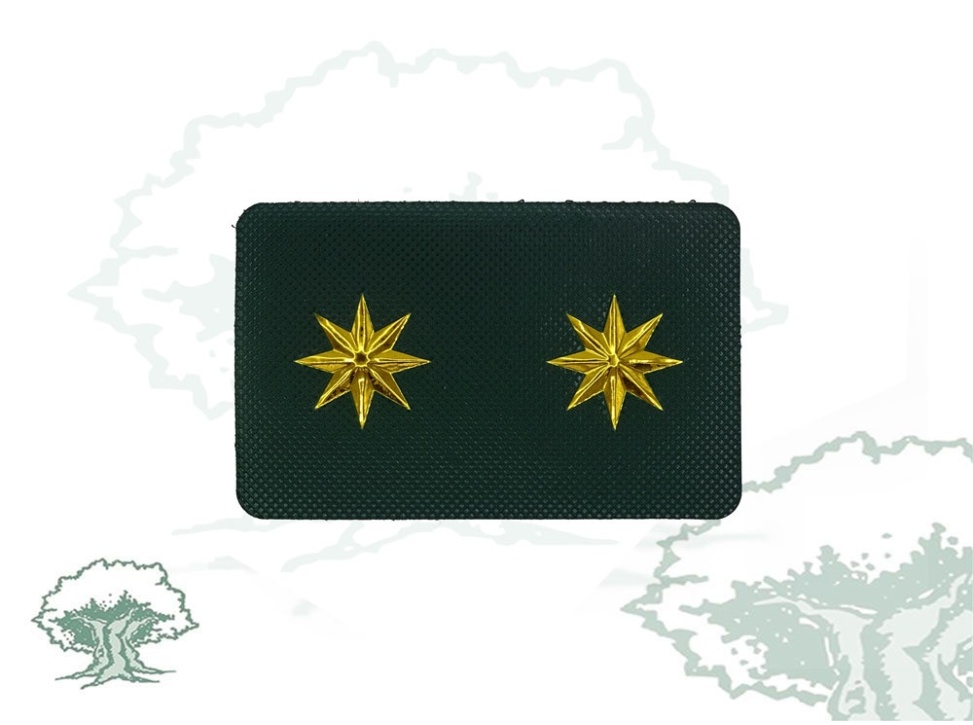 Galleta Guardia Civil de Tráfico nuevo modelo