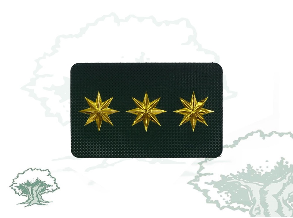 Galleta Guardia Civil de Tráfico nuevo modelo