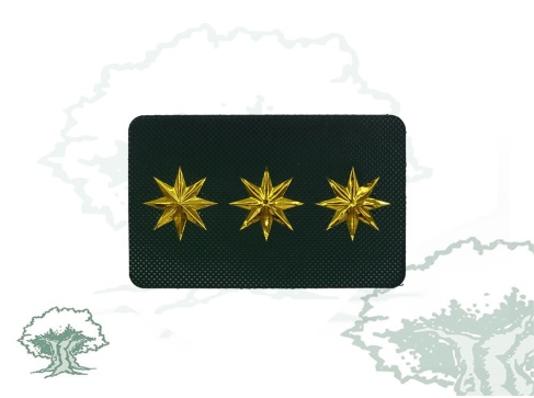 Galleta Guardia Civil de Tráfico nuevo modelo