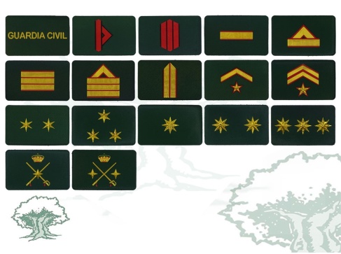 Galleta Guardia Civil de Tráfico nuevo modelo