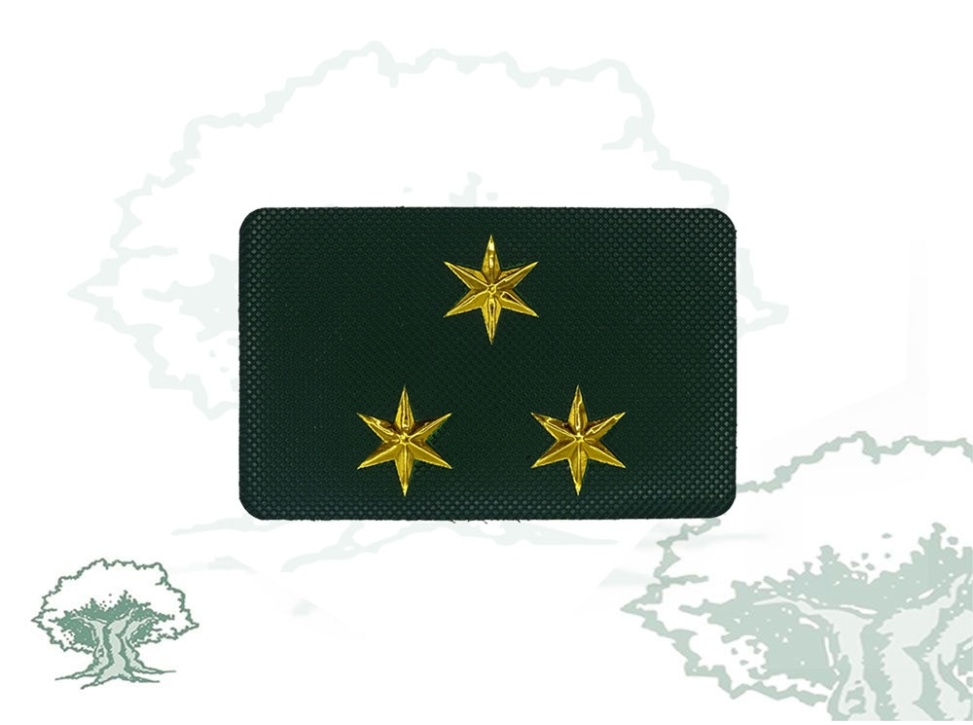 Galleta Guardia Civil de Tráfico nuevo modelo