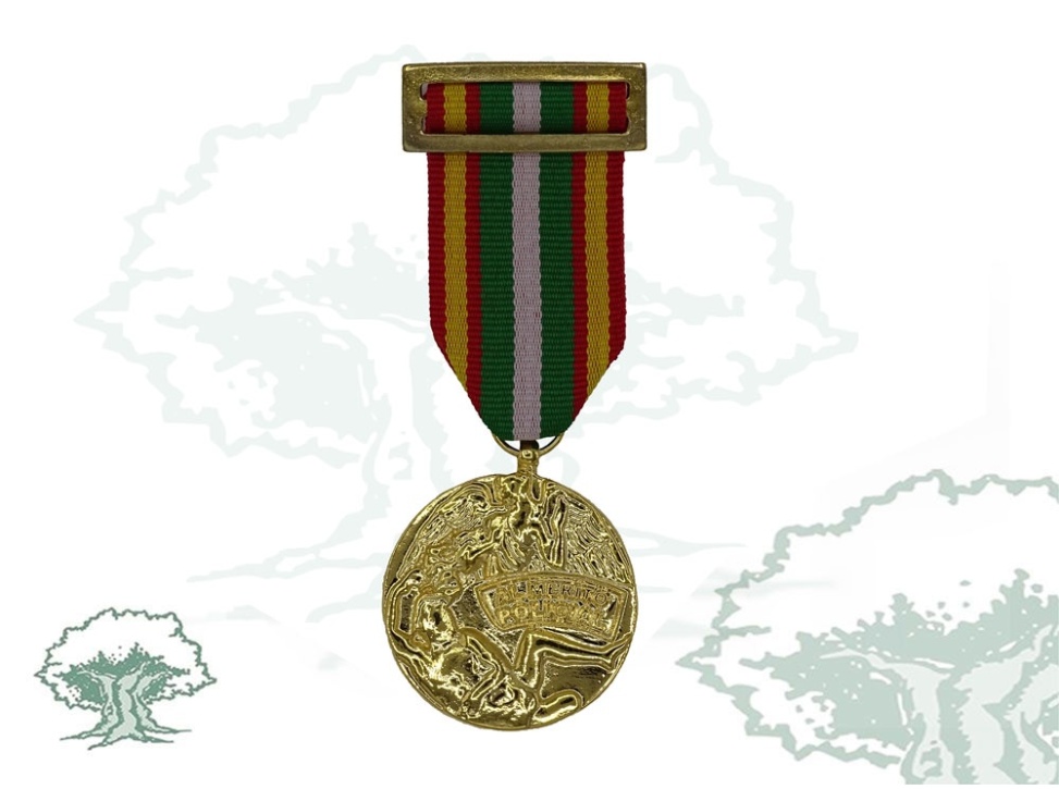 Medalla Orden del Mérito Policial