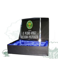 Placa Guardia Civil de Tráfico de cristal cuña