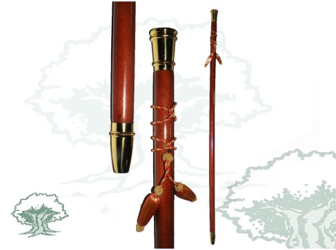 Bastón de mando Autoridades