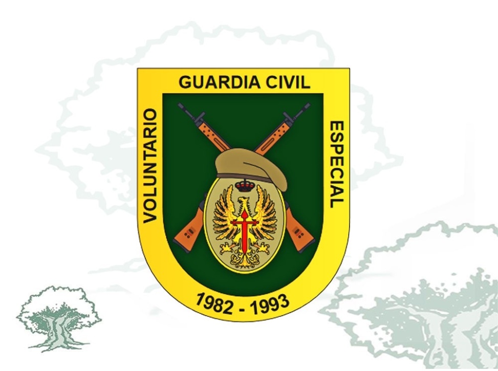 Distintivo de permanencia Voluntariado Especial Guardia Civil
