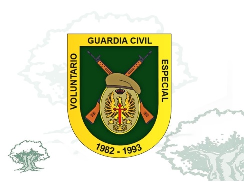 Distintivo de permanencia Voluntariado Especial Guardia Civil