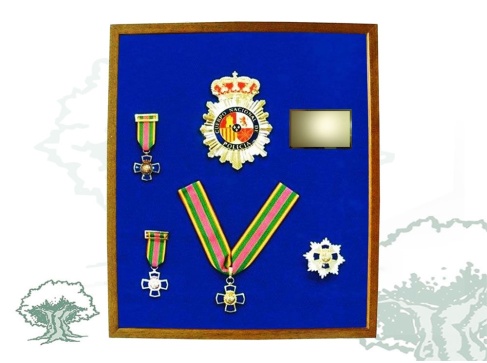 Cuadro vitrina Policía Nacional sin condecoraciones