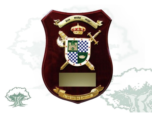 Metopa Academia de Guardias