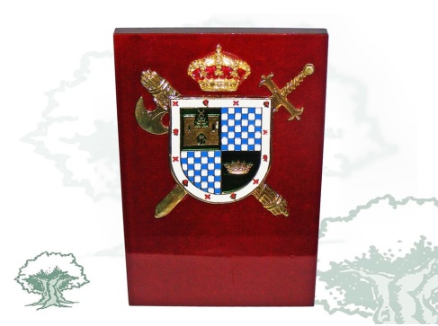 Metopa de cuña Academia de Guardias