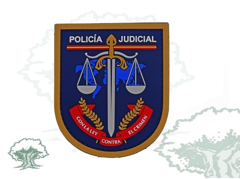 Parche Policía Judicial de la Policía Nacional