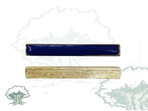 Barra Distintivo de permanencia Brigada Canarias XVI