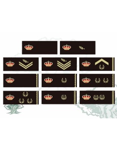 Tira de pecho rangos Policía Nacional color