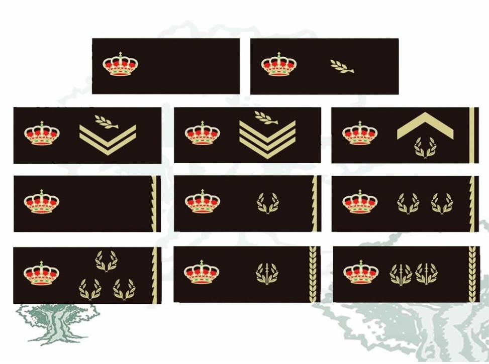 Tira de pecho Policía Nacional rangos color