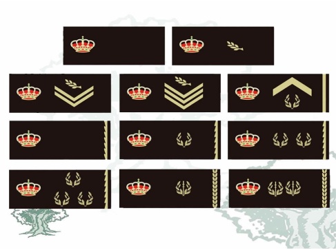 Tira de pecho Policía Nacional rangos color