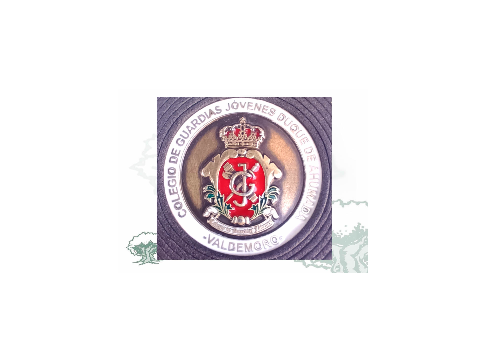 Moneda Colegio de Guardias Jóvenes