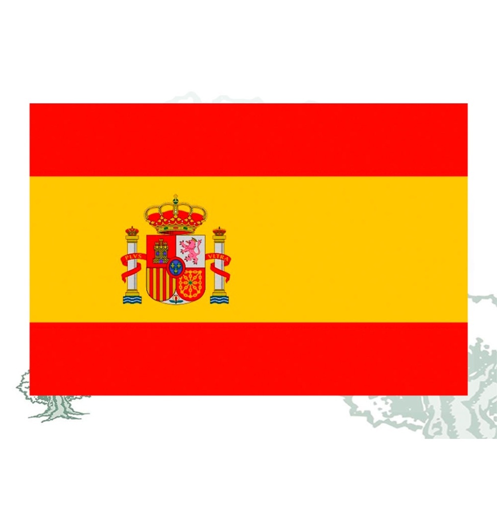 Bandera de España de interior