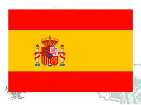 Bandera España interior