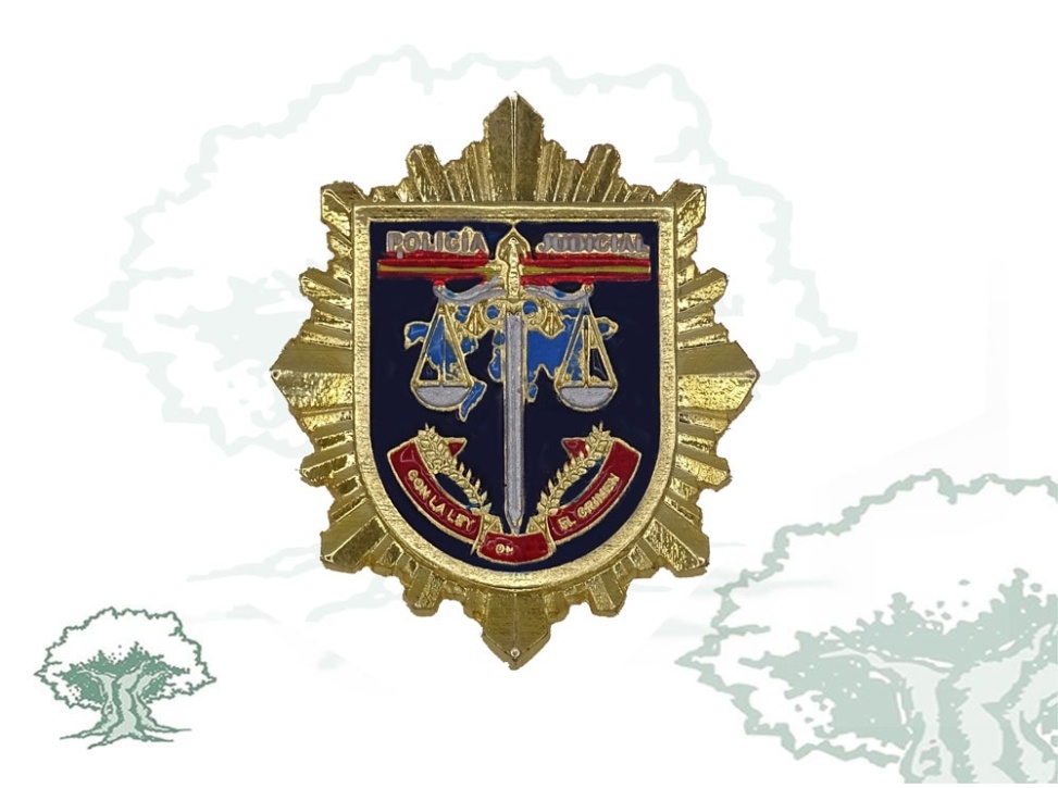 Distintivo de permanencia Judicial Policía Nacional